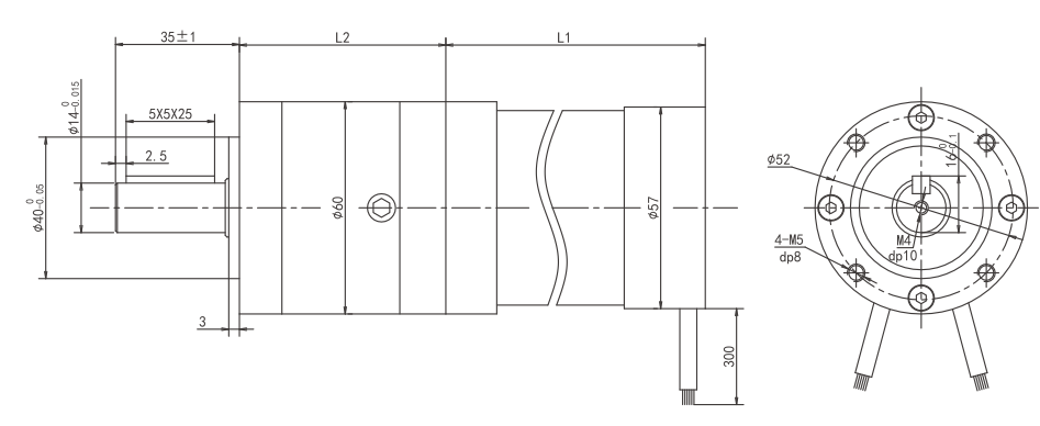 Desenho t&eacute;cnico do motor de engrenagem sem escova personalizado revers&iacute;vel