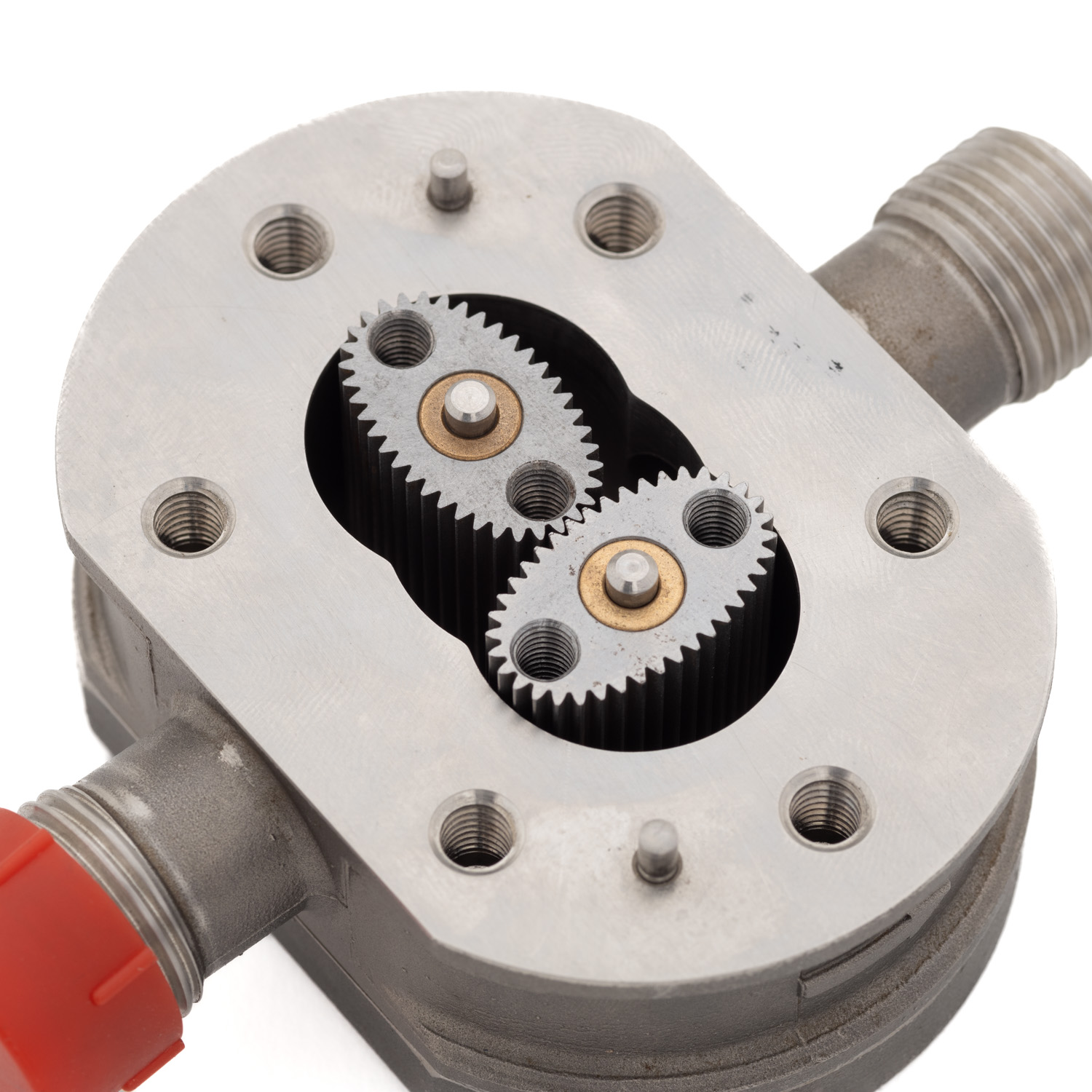 Engrenagem oval de aço inoxidável