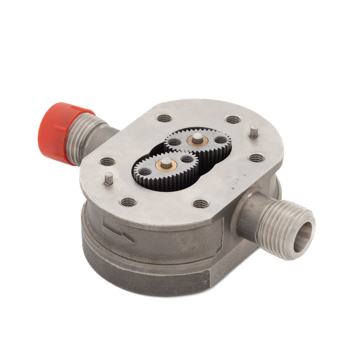 Engrenagem oval de aço inoxidável